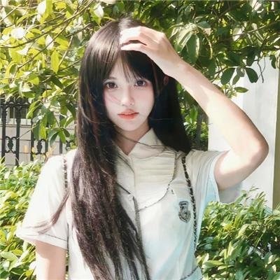 父仇者